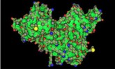 Biological large Hanyang Univ V15c13