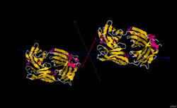 Cetuximab V14h14