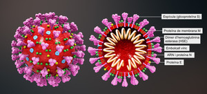 Coronavirus wiki V20E08