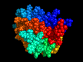 Erythropoietin V13F07