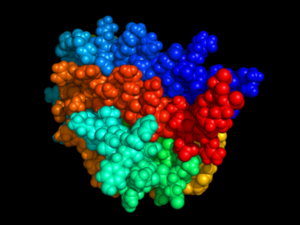 Erythropoietin V13F07 Erythropoietin V13F07