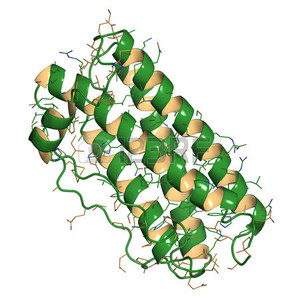 Filgrastim V14K20