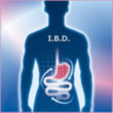 IBD 4