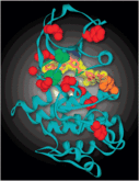 Imatinib V13D12