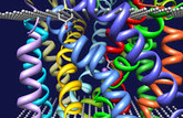 Molecular genetics UCL V16G29