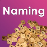 Naming 3 V13J04