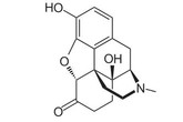 Oxymorphone V13E17