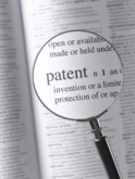 Patent 2 V13E31