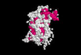 Somatotropine Wiki