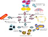 Ustekinumab MOA V21F04